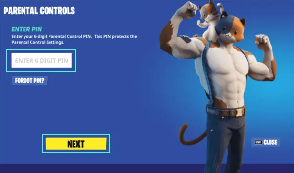 Enter PIN and tap Next