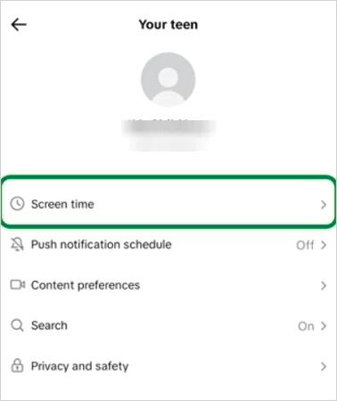 Click on Screen Time