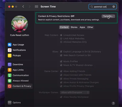 Turn off the Content & Privacy option