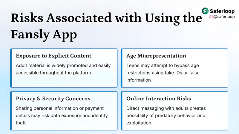 Risks Associated with the Use of the Fansly