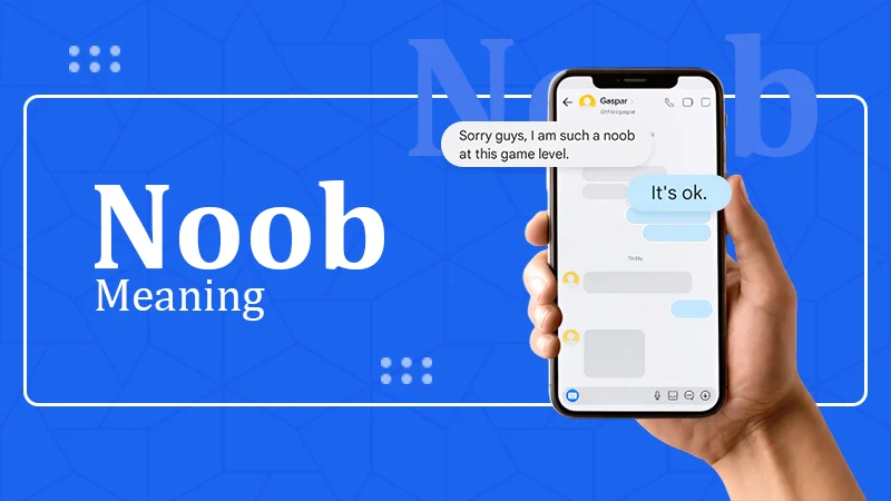Noob-meaning (1)