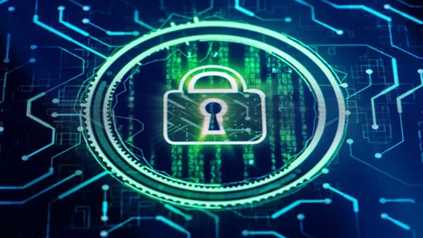 Electronic Security