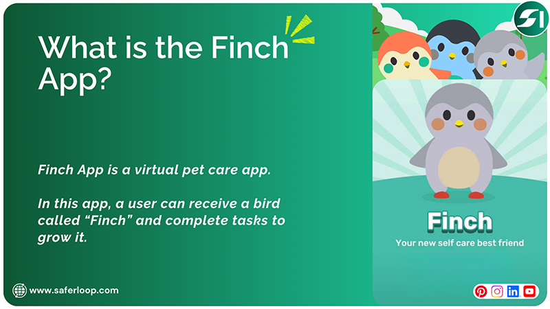 What is the Finch App